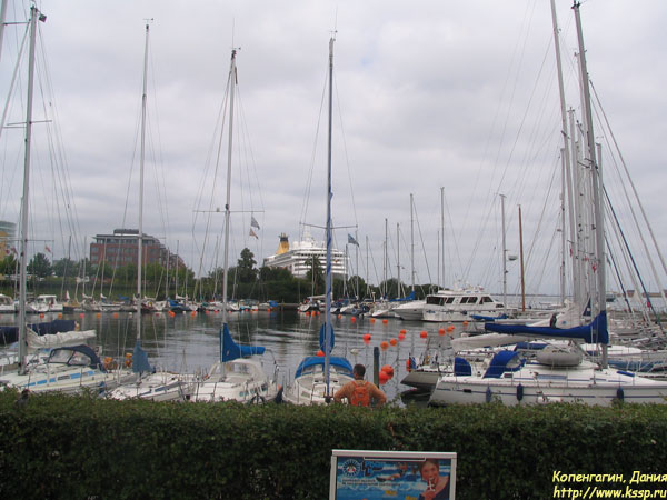 eo2008_9907
