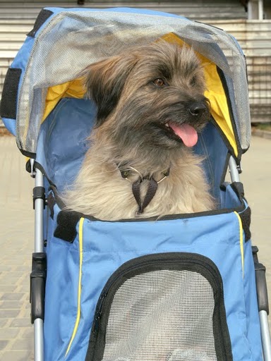 hardy201004_02